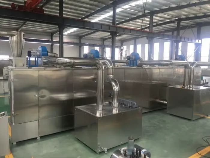 Ligne de production alimentaire de collations souffantes