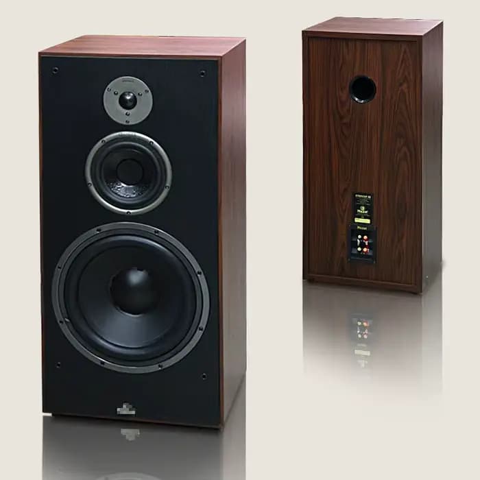 Nouvelle enceinte bibliothèque Hi-Fi 300W 12 pouces