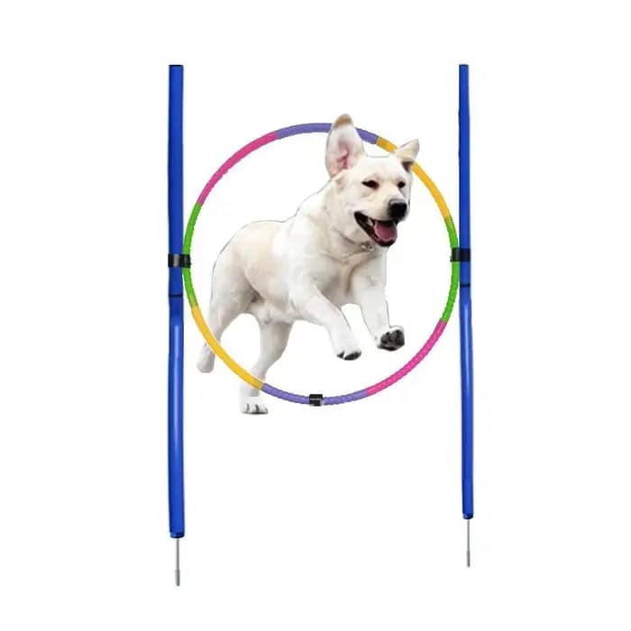 Équipement d'entraînement d'agilité pour chien, outil de saut portable pour chien, jeu de course en plein air, poteau de sport, ensemble d'équipement d'agilité pour animaux de compagnie