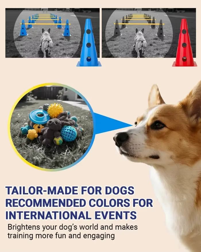 Kit d'entraînement d'agilité pour animaux de compagnie, barre de saut, équipement d'entraînement aux obstacles pour chiens, dispositif d'entraînement aux obstacles, fournitures pour animaux de compagn