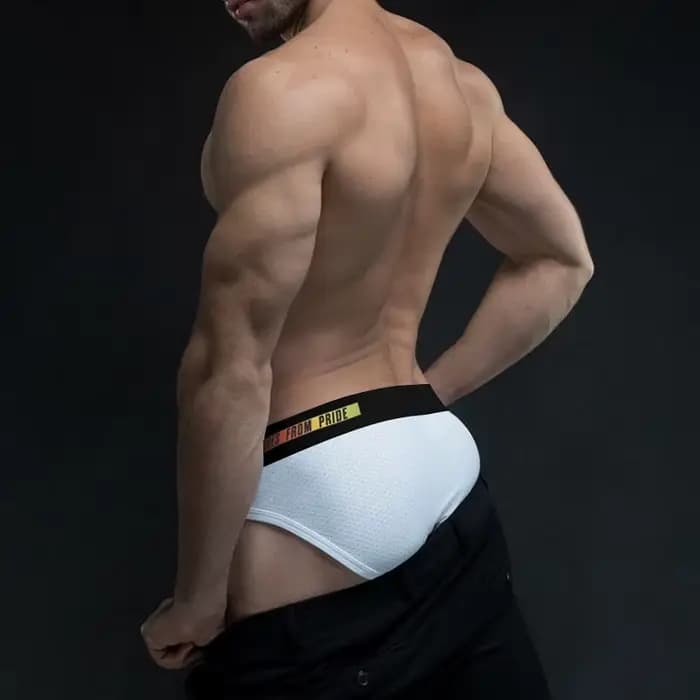 Sous-vêtements Sexy pour hommes, en maille respirante, Bikini jockstrap, slips pour hommes, culotte Sissy Gay, sous-vêtements Calzoncillos Hombre