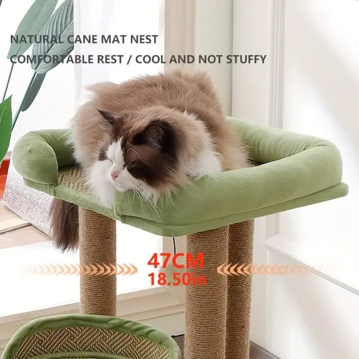 Arbre à chat de luxe à 2 niveaux avec postes à gratter en Sisal, tour à chat multi-niveaux avec perchoirs en peluche et jouets suspendus, activité durable