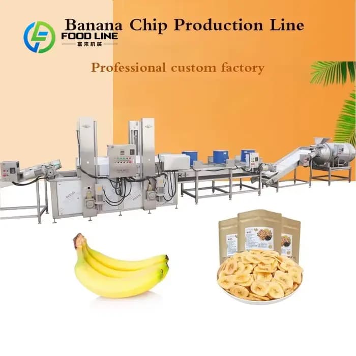 Ligne de production automatique personnalisée de chips de banane, équipement de friture stable pour la transformation de tranches de fruits en snacks