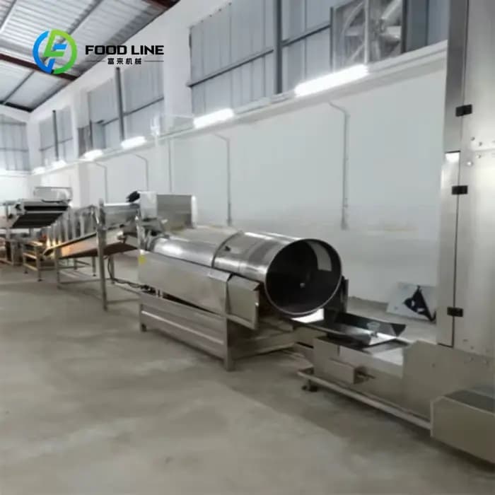 Ligne de production automatique personnalisée de chips de banane, équipement de friture stable pour la transformation de tranches de fruits en snacks