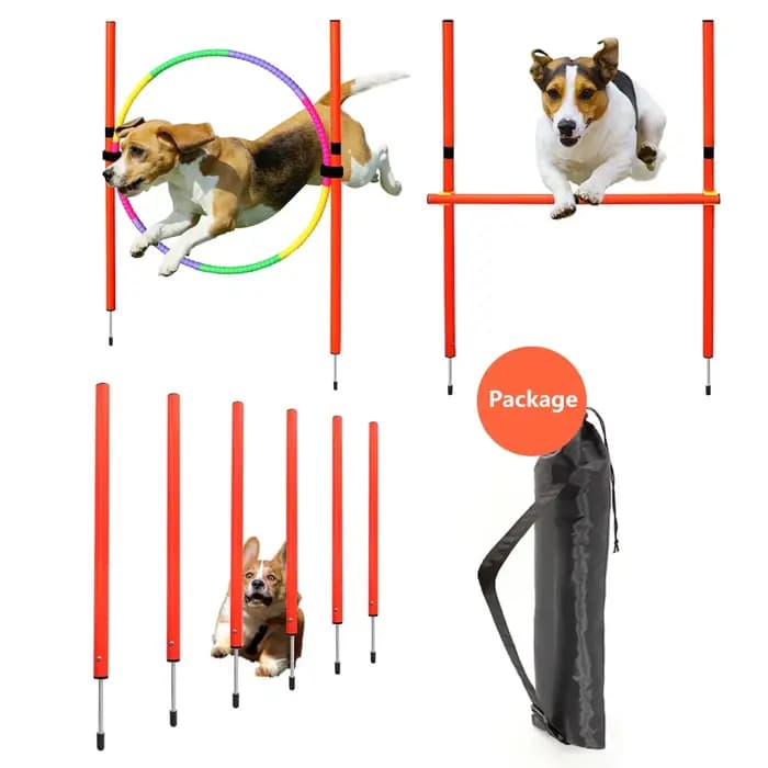 Équipement d'entraînement à l'agilité pour chien, outil de saut Portable pour chiens en plein air, piquet de course, piquets de sport, ensemble d'équipement d'agilité pour animaux de compagnie