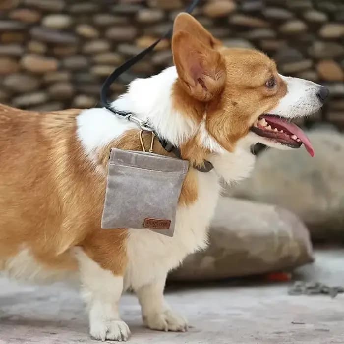 Sac de collation d'entraînement pour chien, pochette de friandises pour chien de compagnie de voyage en plein air, sac distributeur de nourriture Portable résistant à l'huile, accessoires durables pou