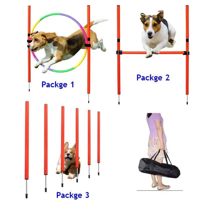 Équipement d'agilité pour chiens, outil de saut portable pour chiens, piquet de course pour chiens en extérieur, piquets sportifs, ensemble d'équipement d'agilité pour animaux de compagnie
