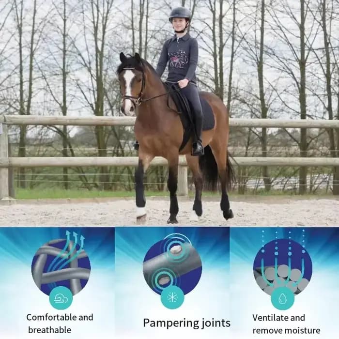Protège-jambes professionnel réglable pour le saut, bottes de cheval, couvre-jambes, support, protection pour l'entraînement, accessoires équestres, 4 pièces