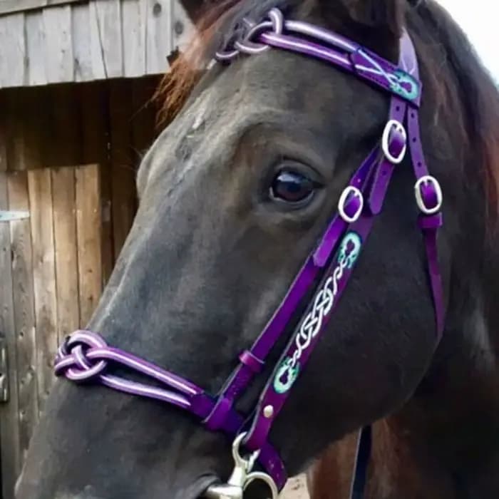 Bridon et Licol en Cuir PU avec Boucle Métallique pour Protéger la Peau du Cheval, Harnais de Conduite Confortable et Réglable pour Cheval