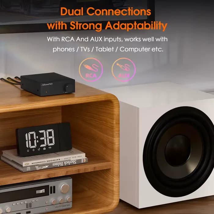 Douk Audio NS-21G amplificateur de caisson de basses monocanal HiFi Mini