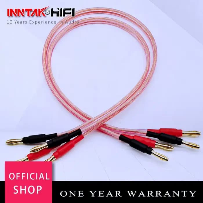 Câble HiFi banane à banane, 1 paire, pour haut-parleur Audio, 20W-300W