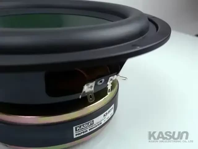 1 pièce KASUN DL-890S/KS-8014 8indeed Hi-Fi Home Audio DIY Subwoofer Speaker Driver Deep Bass Suspension 8ohm/300W Fs = 28Hz OD = 218mm