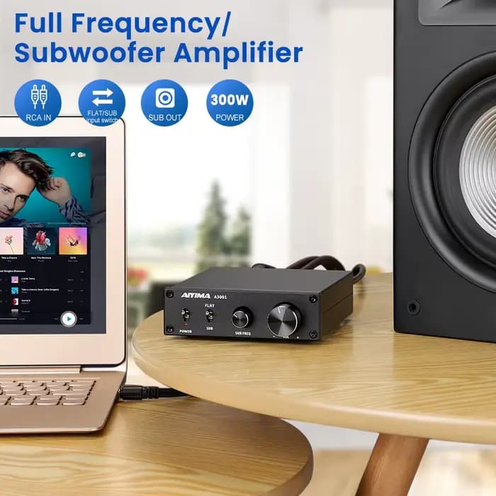Amplificateur de subwoofer AIYIMA Audio A3001 TPA3255 300W