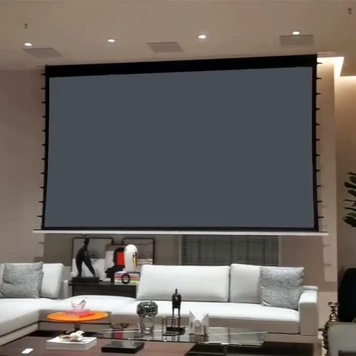 Écran de Projection 4K ALR pour Cortors Standard
