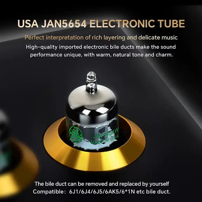 Préamplificateur Audio à Tube électronique professionnel