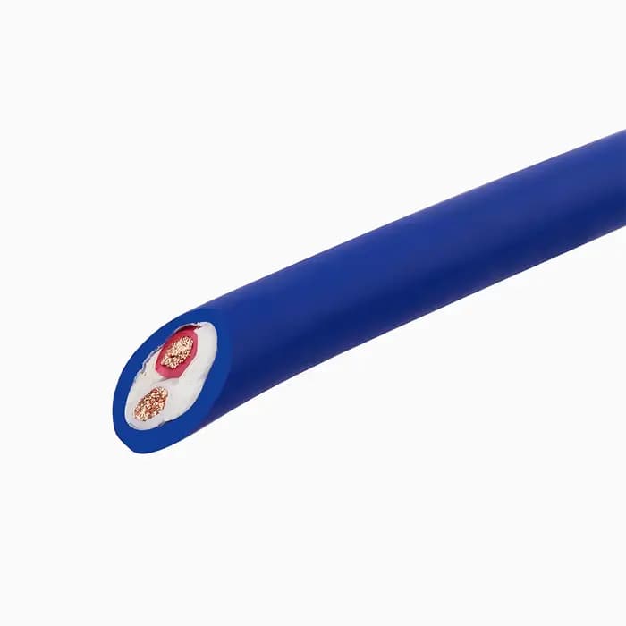 Cordon d'alimentation pour haut-parleur