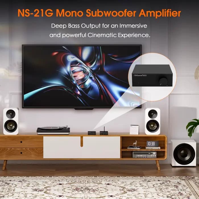 Douk Audio NS-21G amplificateur de caisson de basses monocanal HiFi Mini