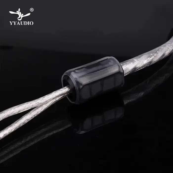 YYAUDIO Liton plaqué argent double anneau de filtre fièvre câble de Signal Audio ligne prise RCA