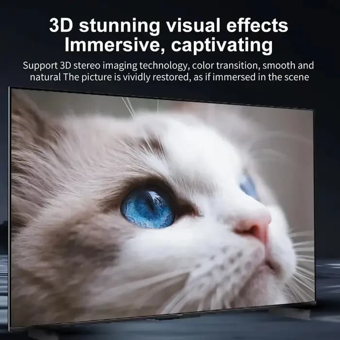 Câble de conversion vidéo HD 4K type C vers HDTV