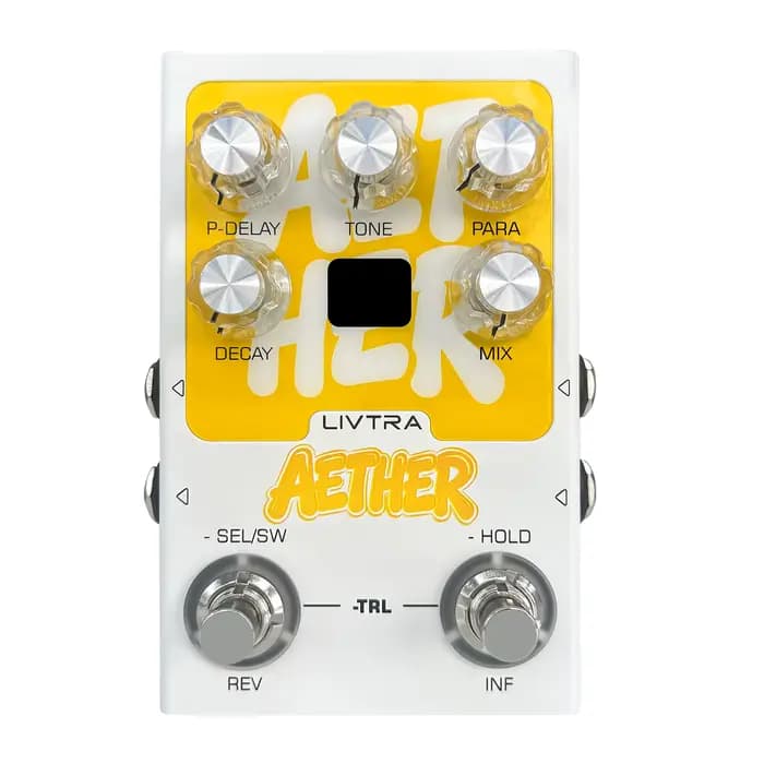 Pédale de réverbération spatiale LIVTRA AETHER 9, entrée/sortie stéréo véritable, enregistrement USB